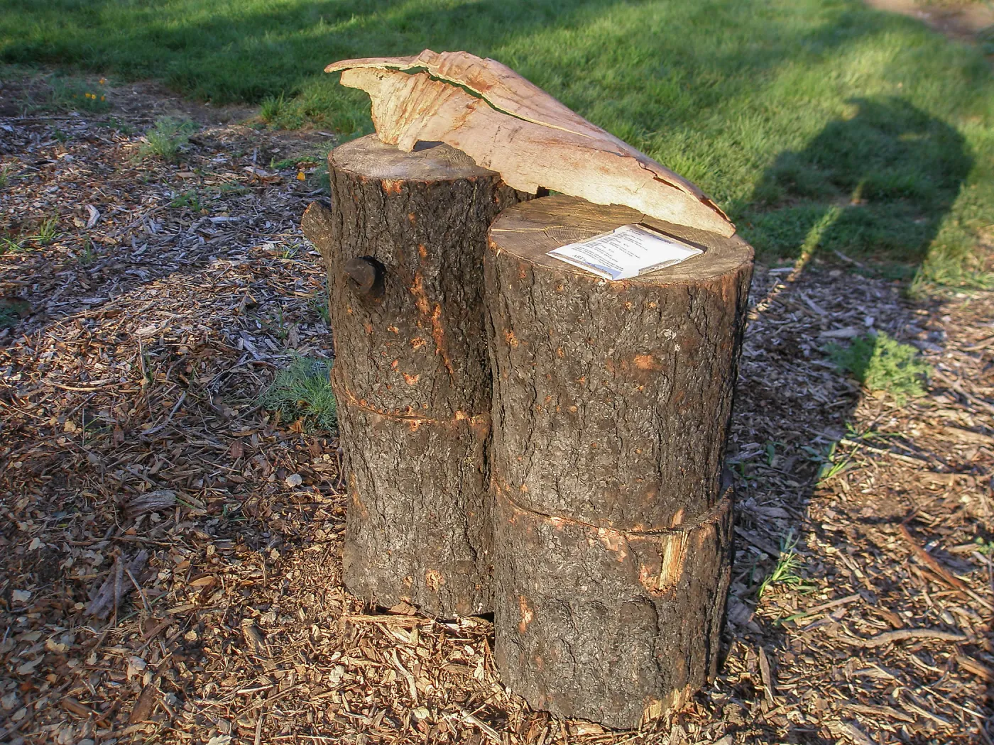 Art from the Ashes