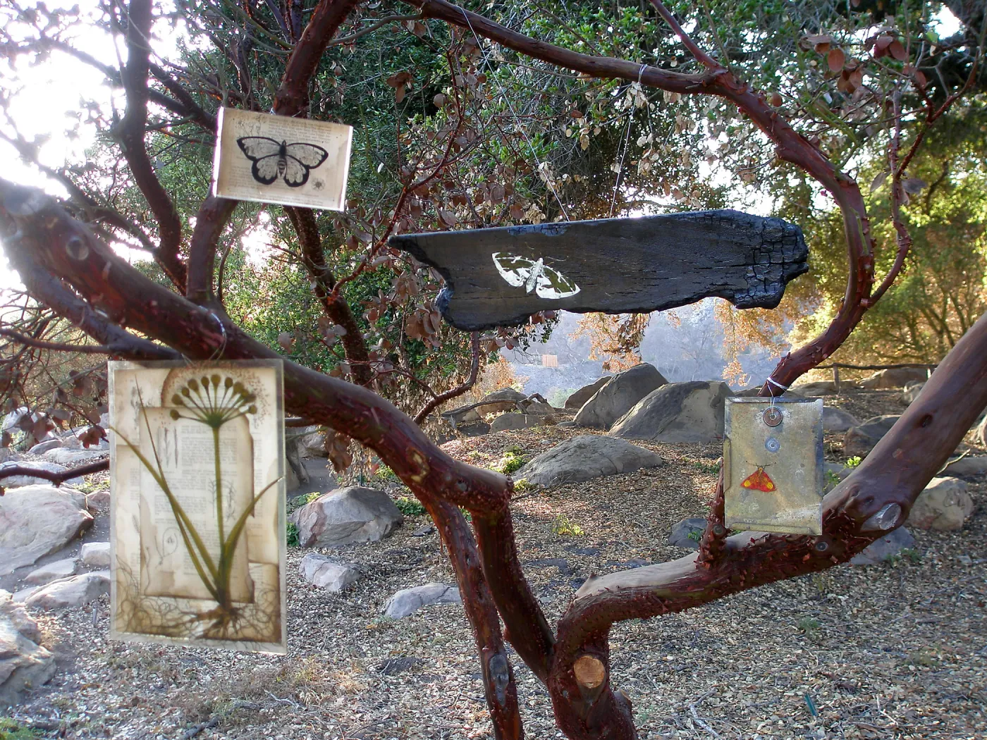 Art from the Ashes