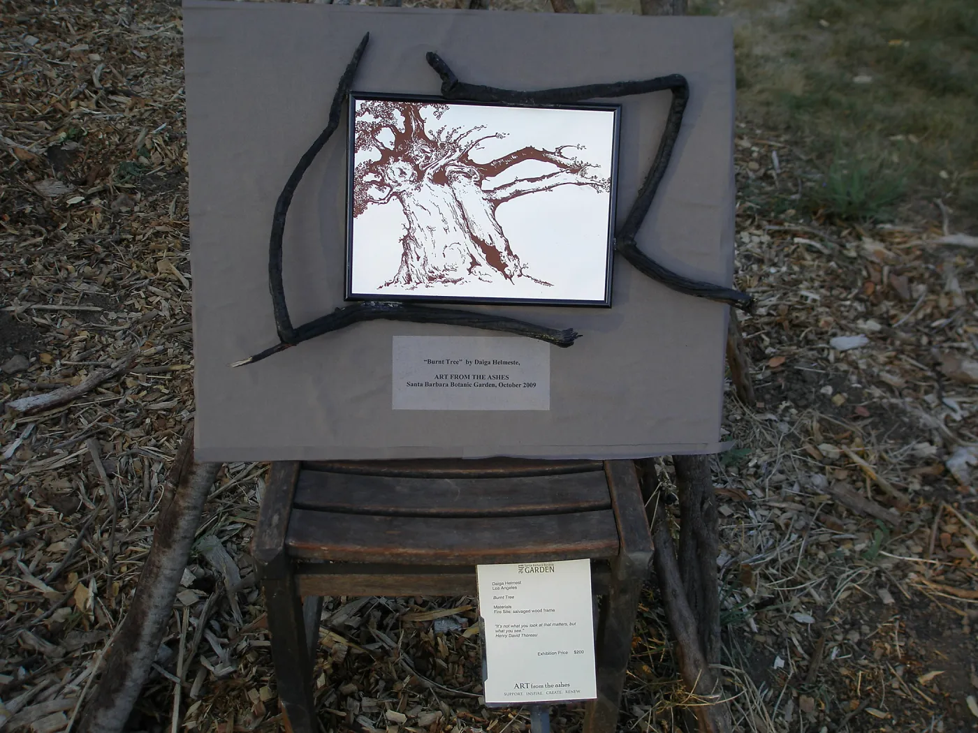 'Burnt Tree' by Diaga Helmest, Art from the Ashes