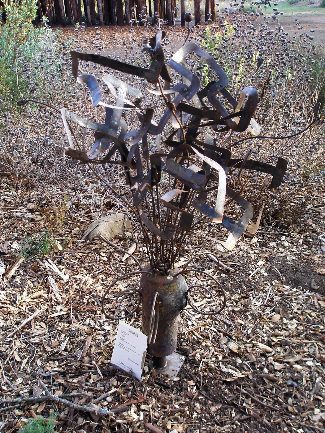 Art from the Ashes