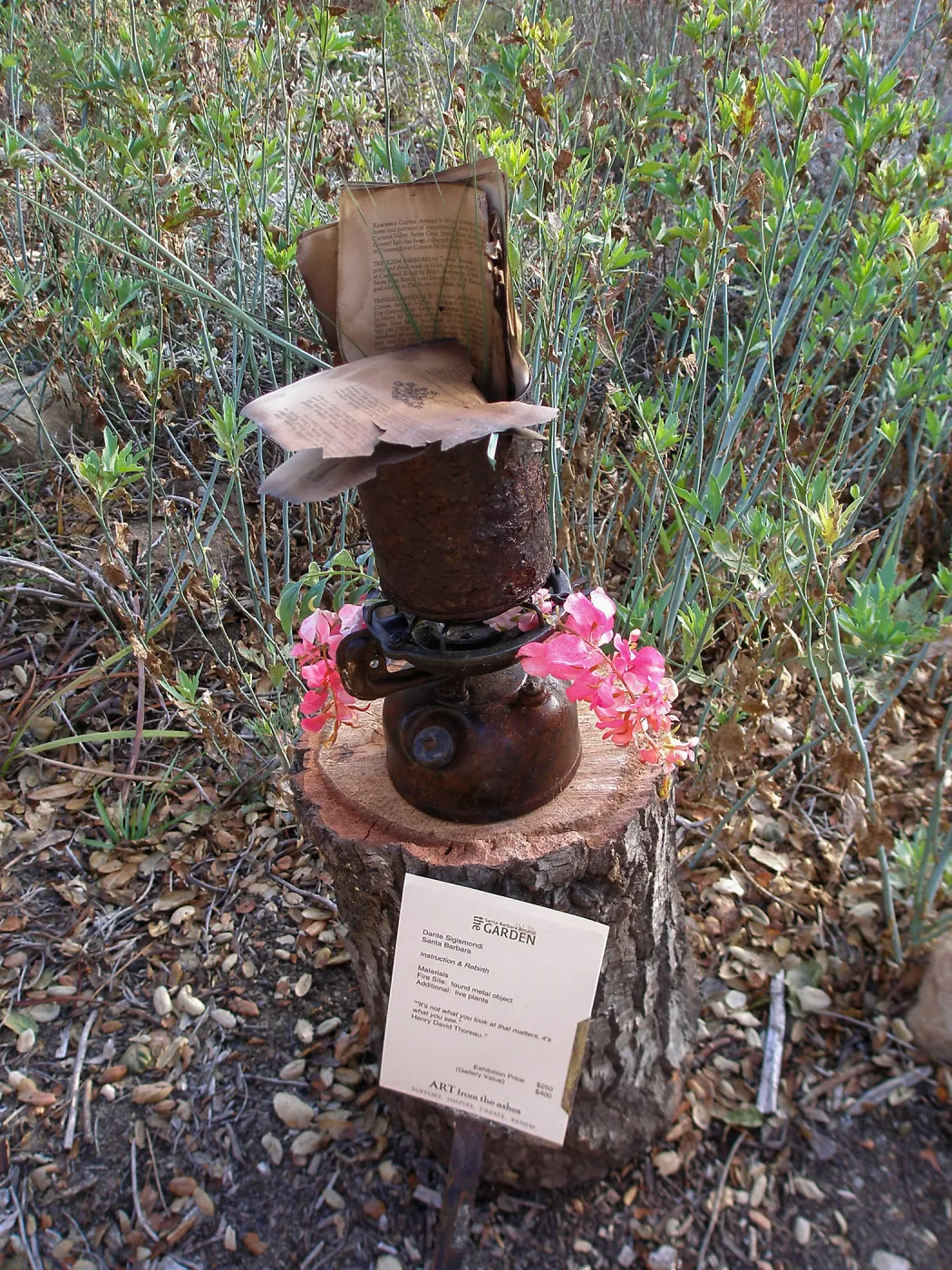â€˜Instructions and Rebirth' by Danta Sigismondi, Art from the Ashes