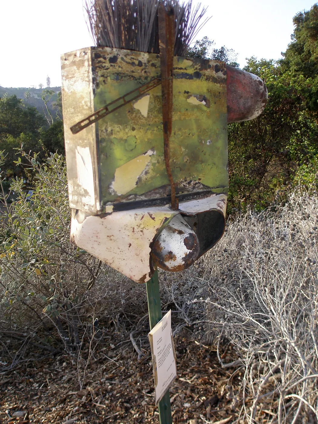 â€˜Rocko' by Joan Robey, Art from the Ashes