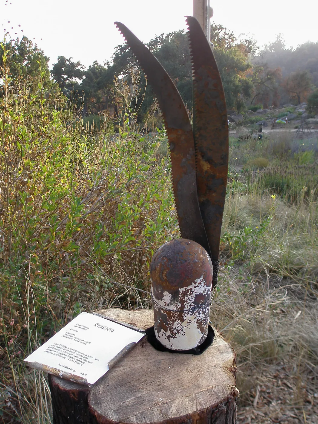 â€˜Untitled' by Terry Phillips, Art from the Ashes