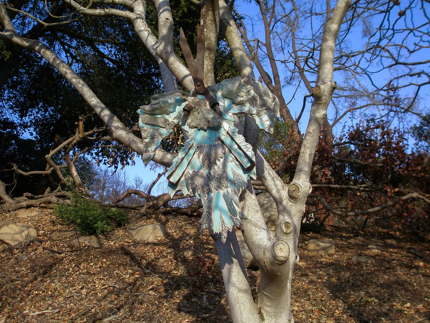 Art from the Ashes