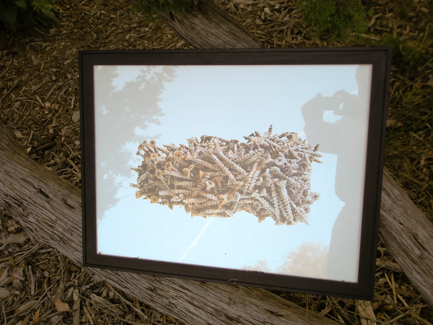 Photograph by David Gala, Art from the Ashes