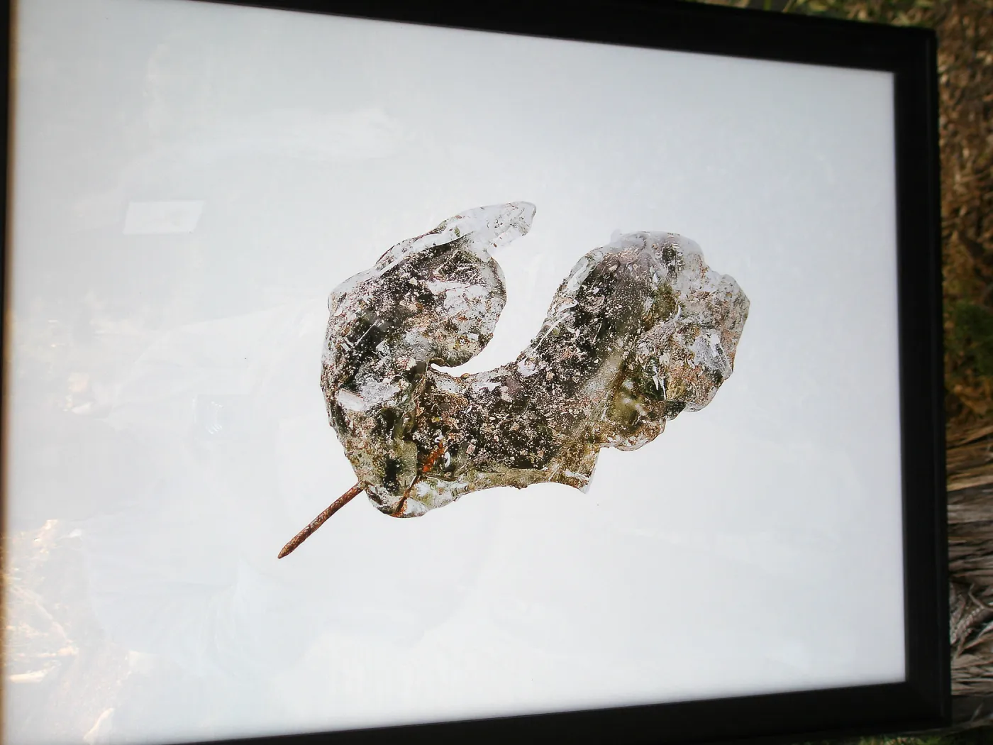 Photograph by David Gala, Art from the Ashes