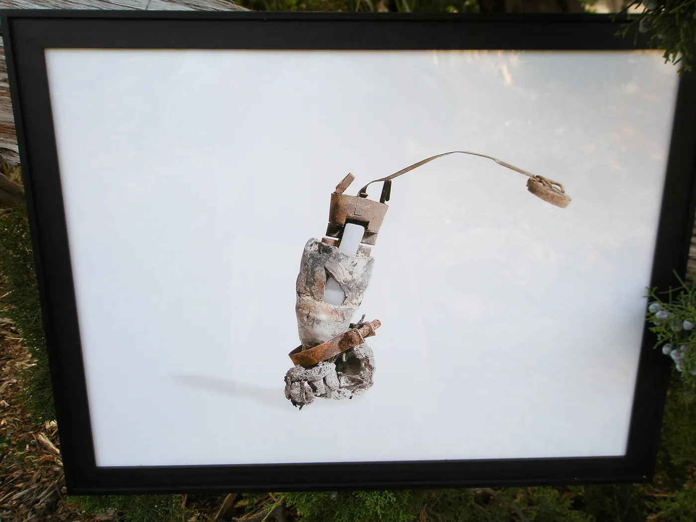Photograph by David Gala, Art from the Ashes