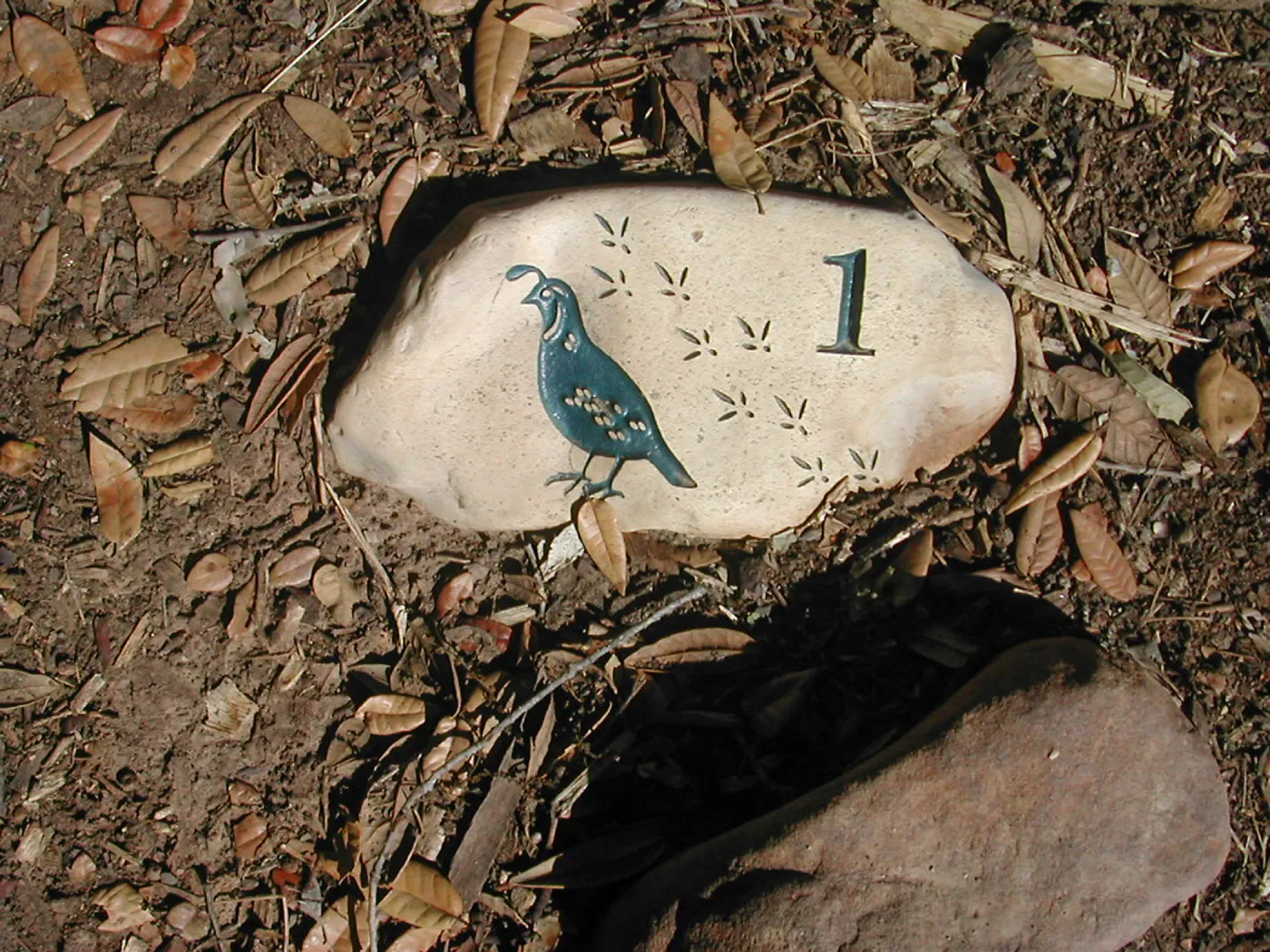 â€œNature Loves a Detectiveâ€ marker