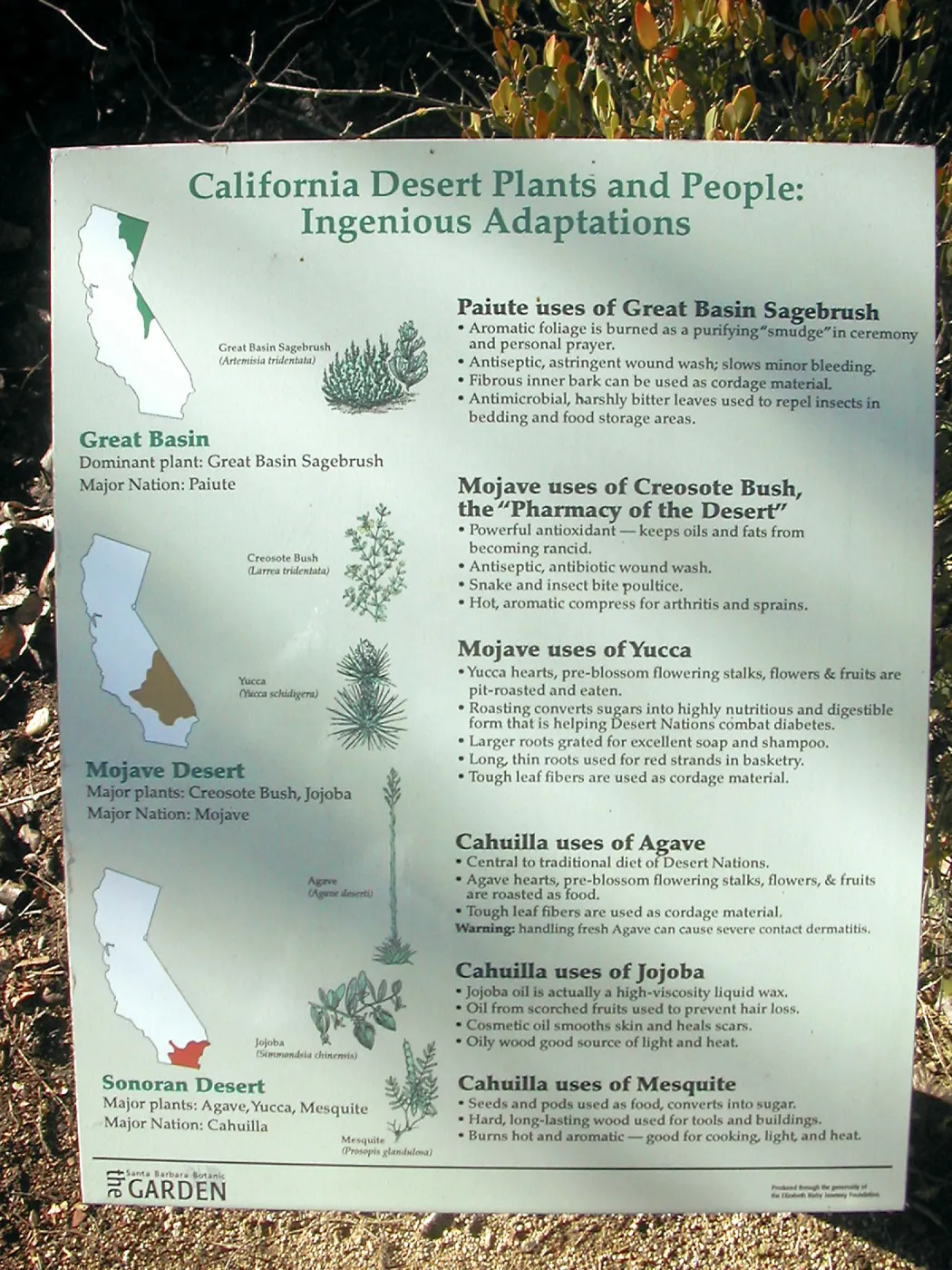 â€œCalifornia Desert Plants and People: Ingenious Adaptationsâ€ interpretive signage