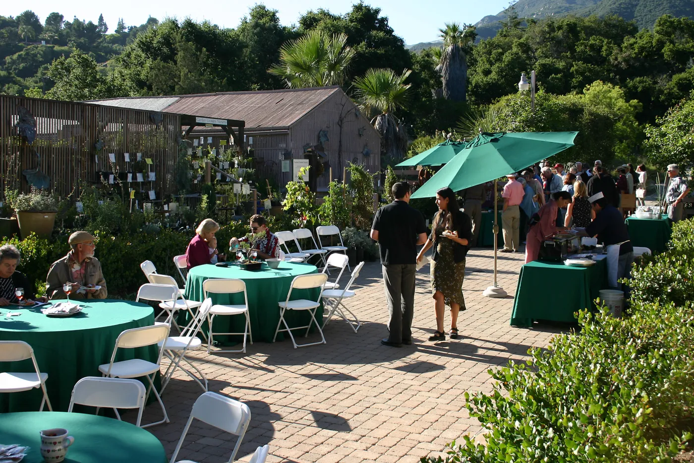 Japanese-style Summer Solstice Celebration to benefit ShinKanAn Teahouse