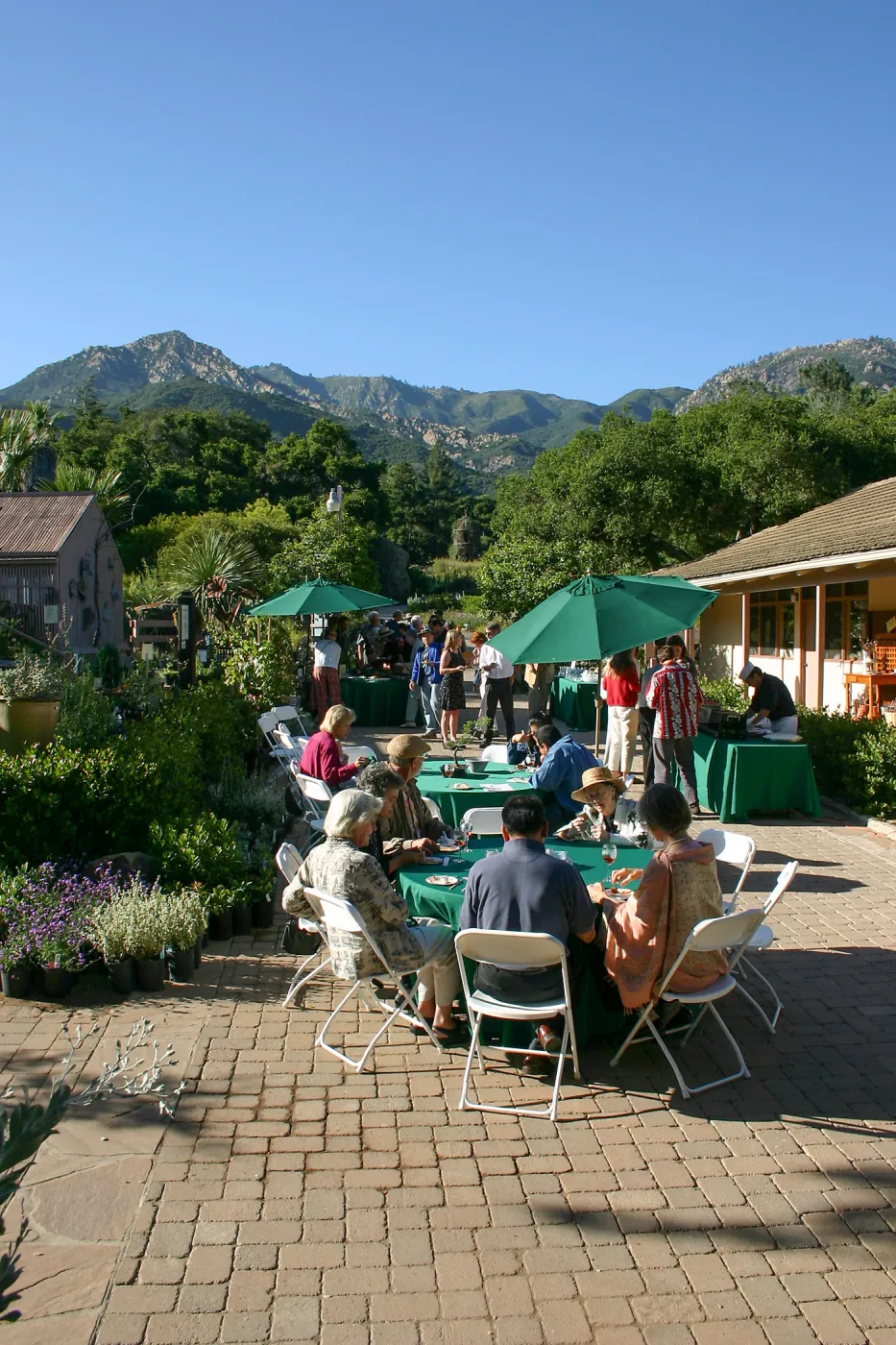 Japanese-style Summer Solstice Celebration to benefit ShinKanAn Teahouse