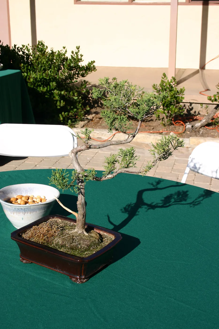 Japanese-style Summer Solstice Celebration to benefit ShinKanAn Teahouse