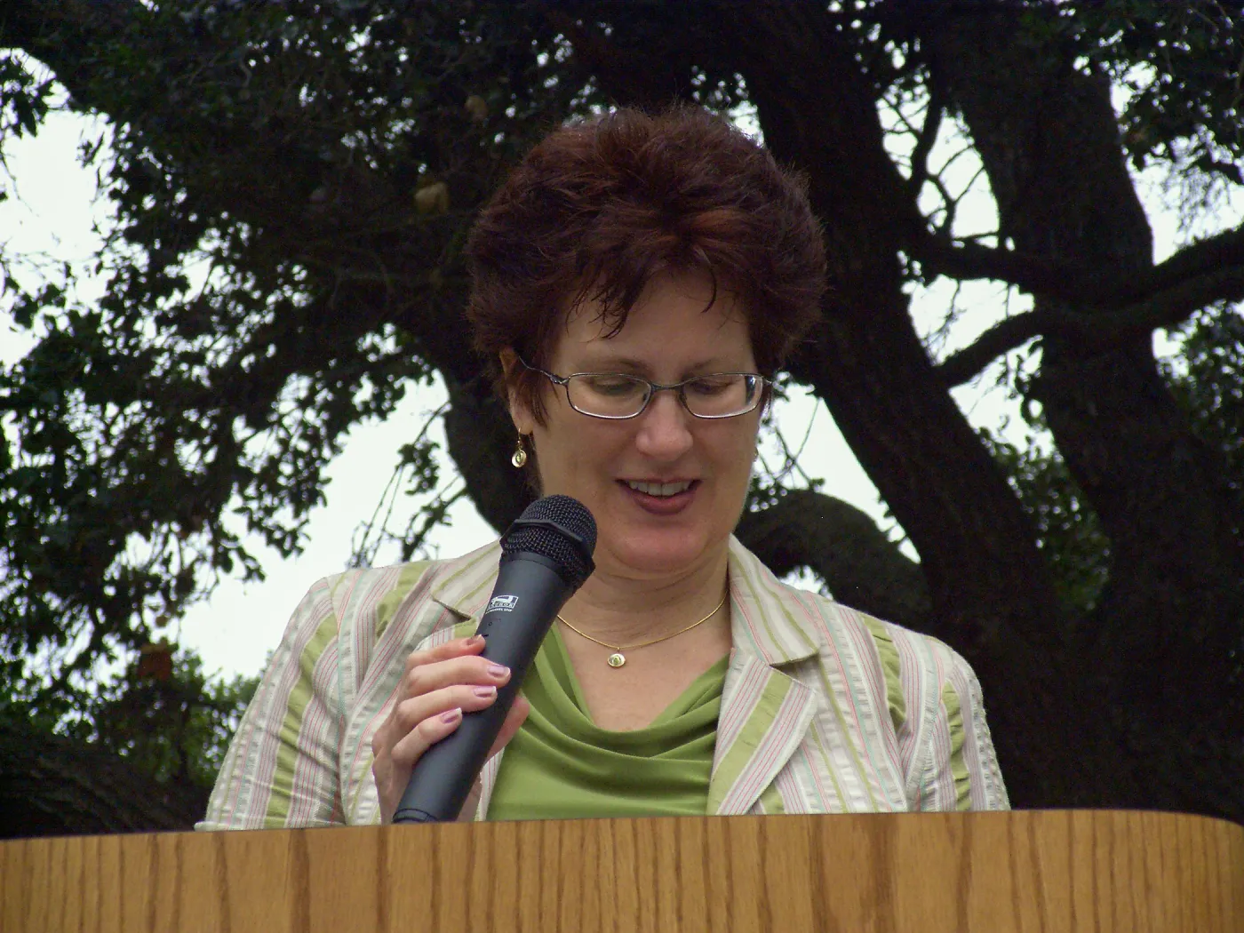 Cherie Welsh, Volunteer Luncheon, 2009