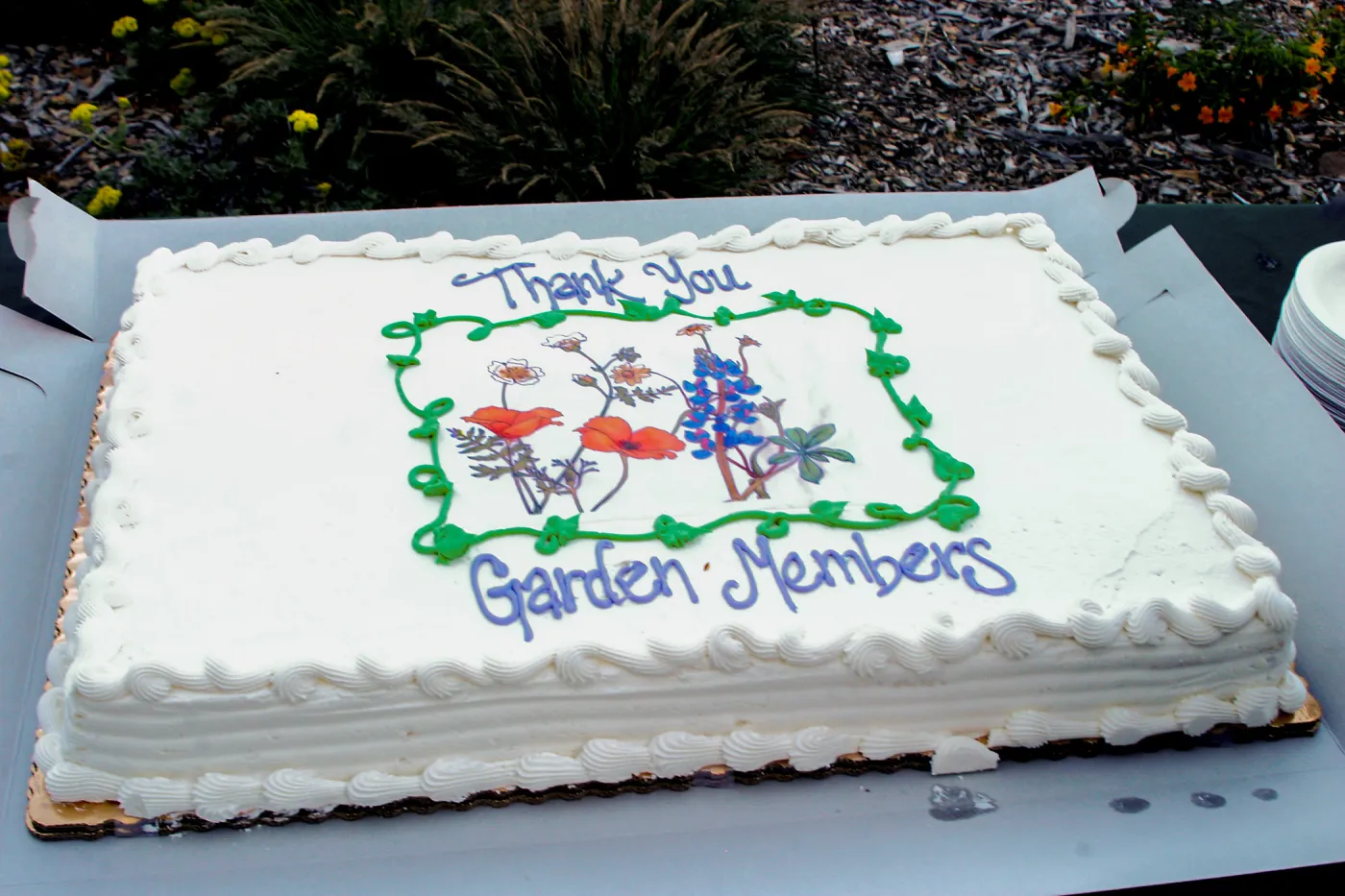 Cake, Members Picnic 2018