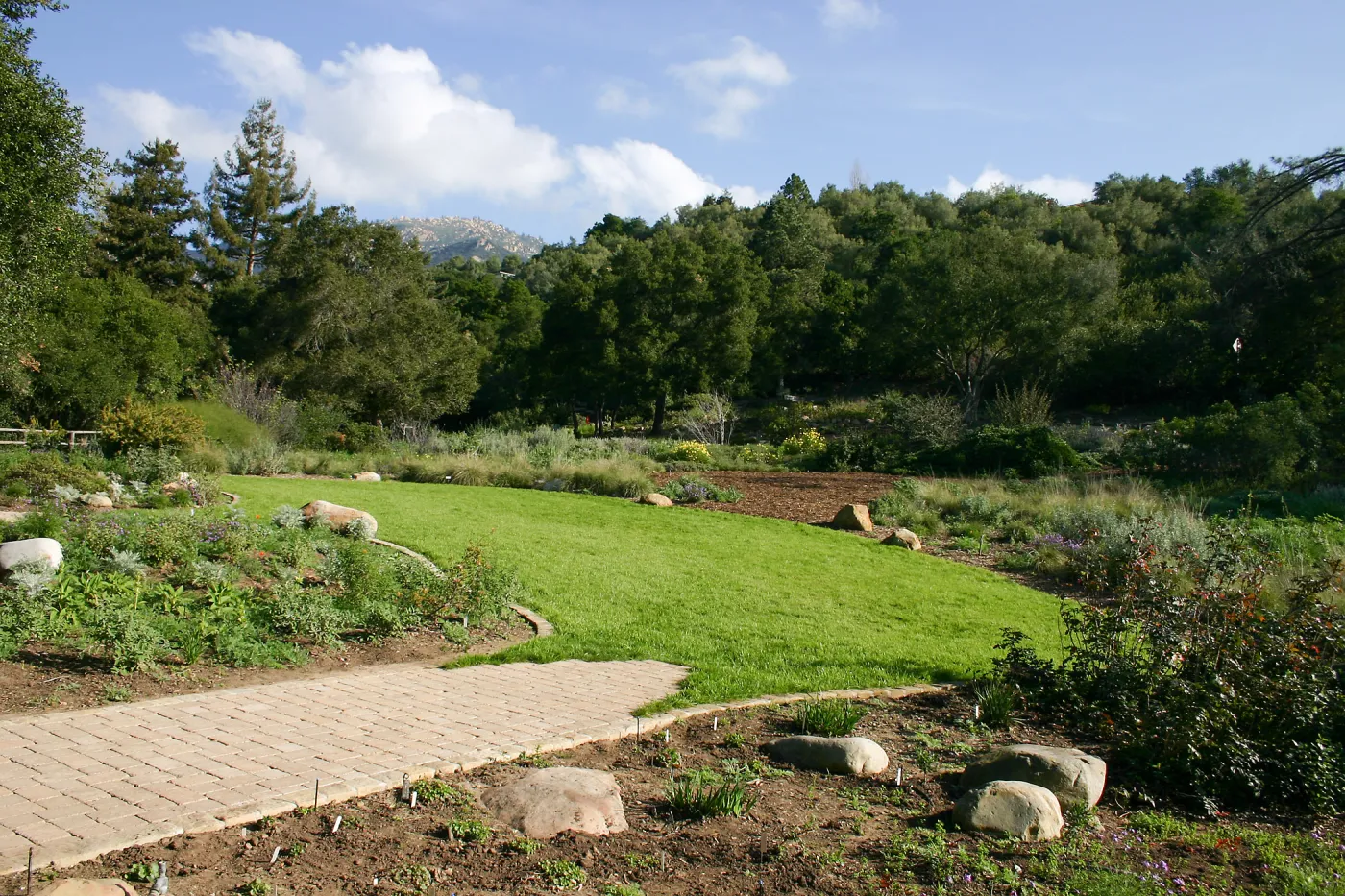 Site where Toad Hall will be constructed