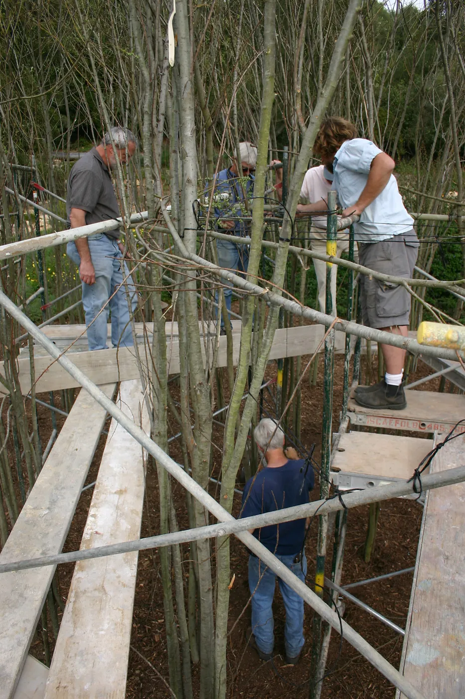 Toad Hall construction