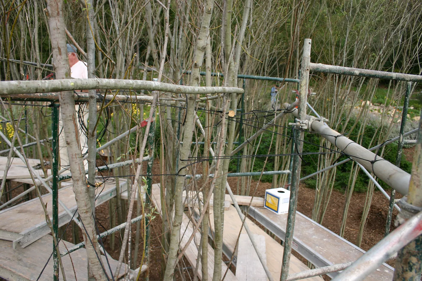 Toad Hall construction