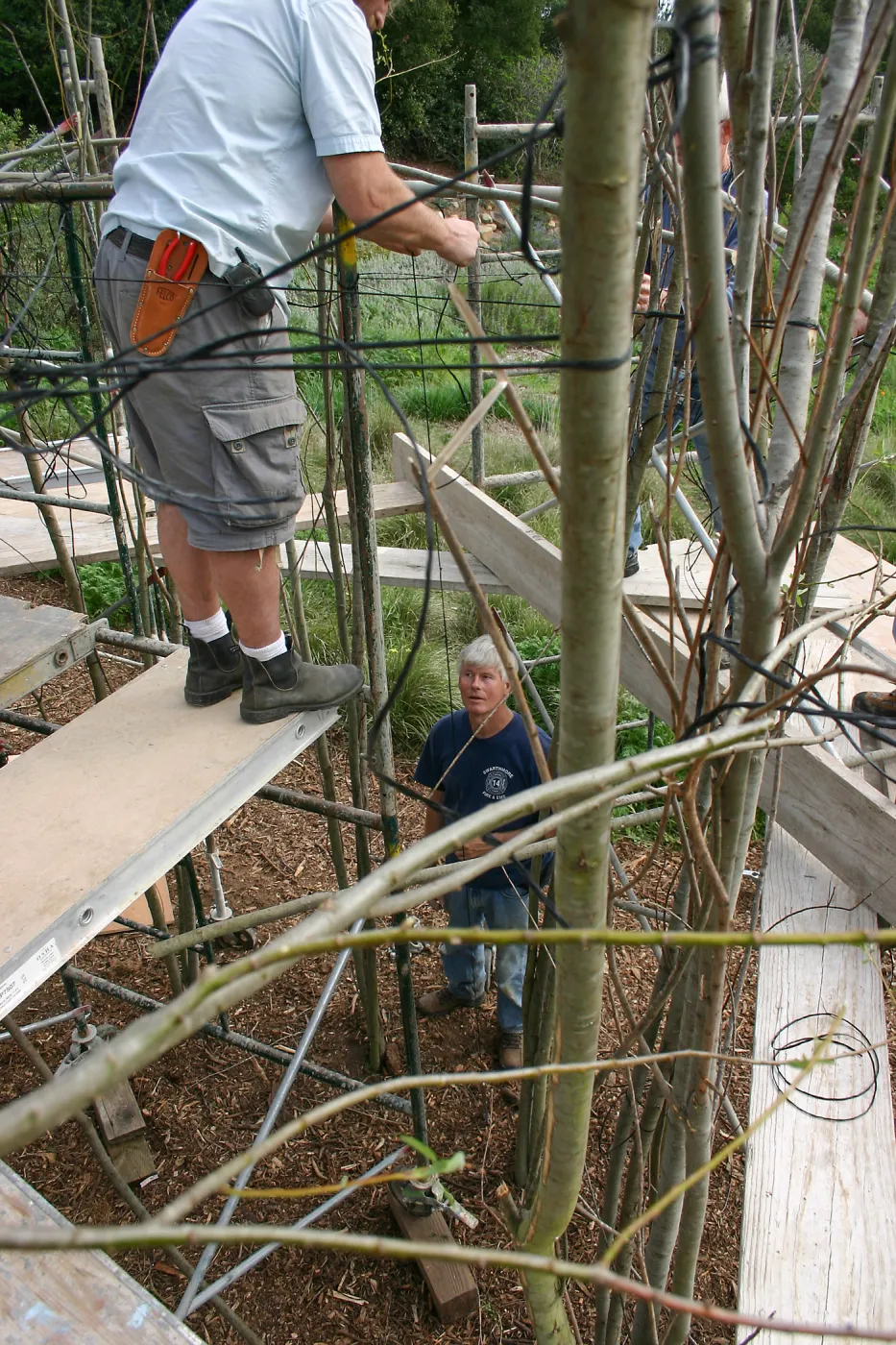 Toad Hall construction