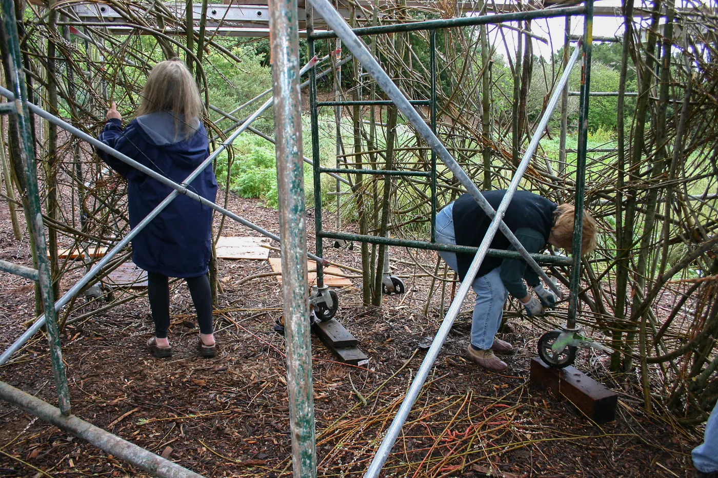Toad Hall Construction
