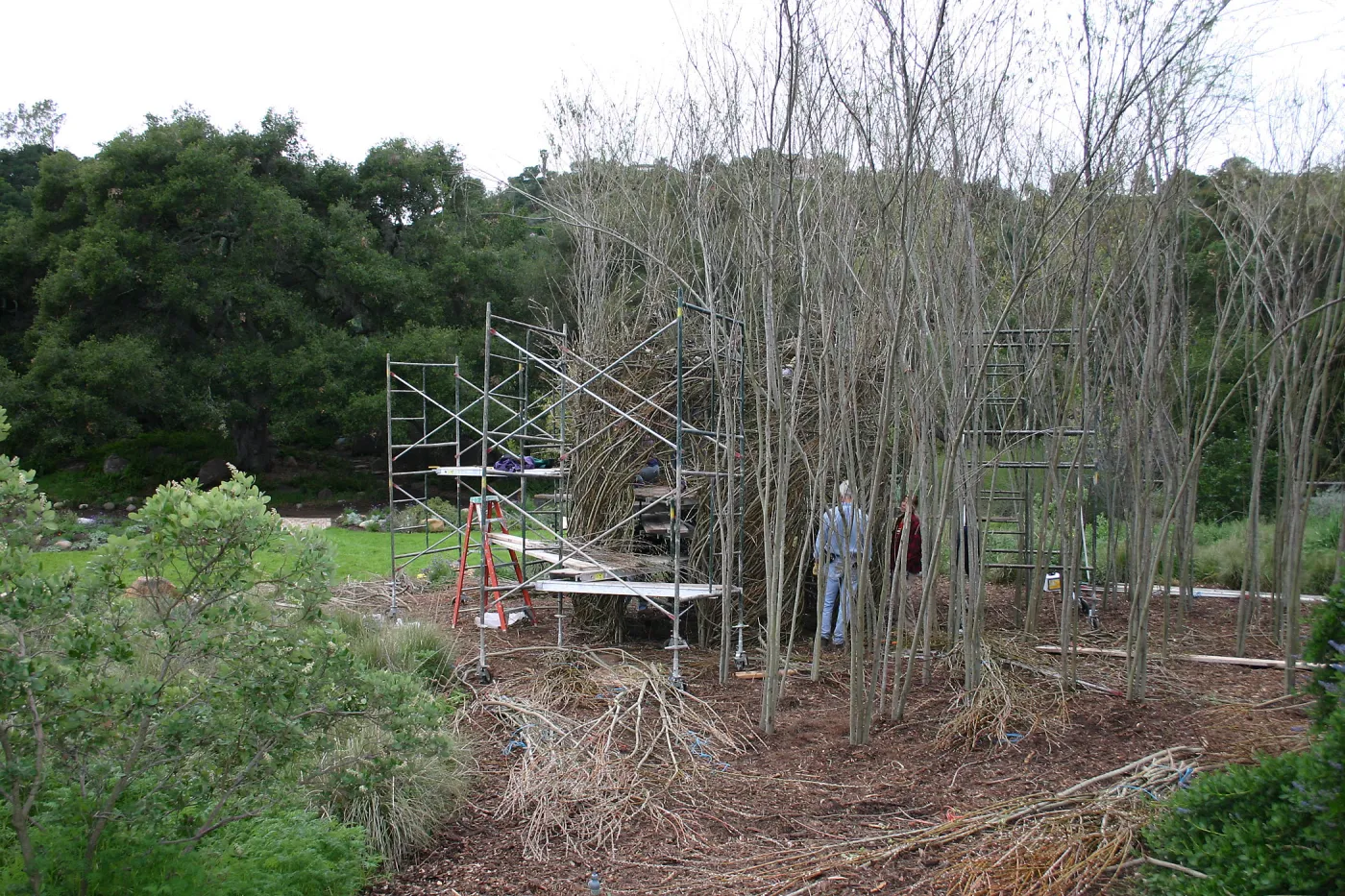 Toad Hall Construction