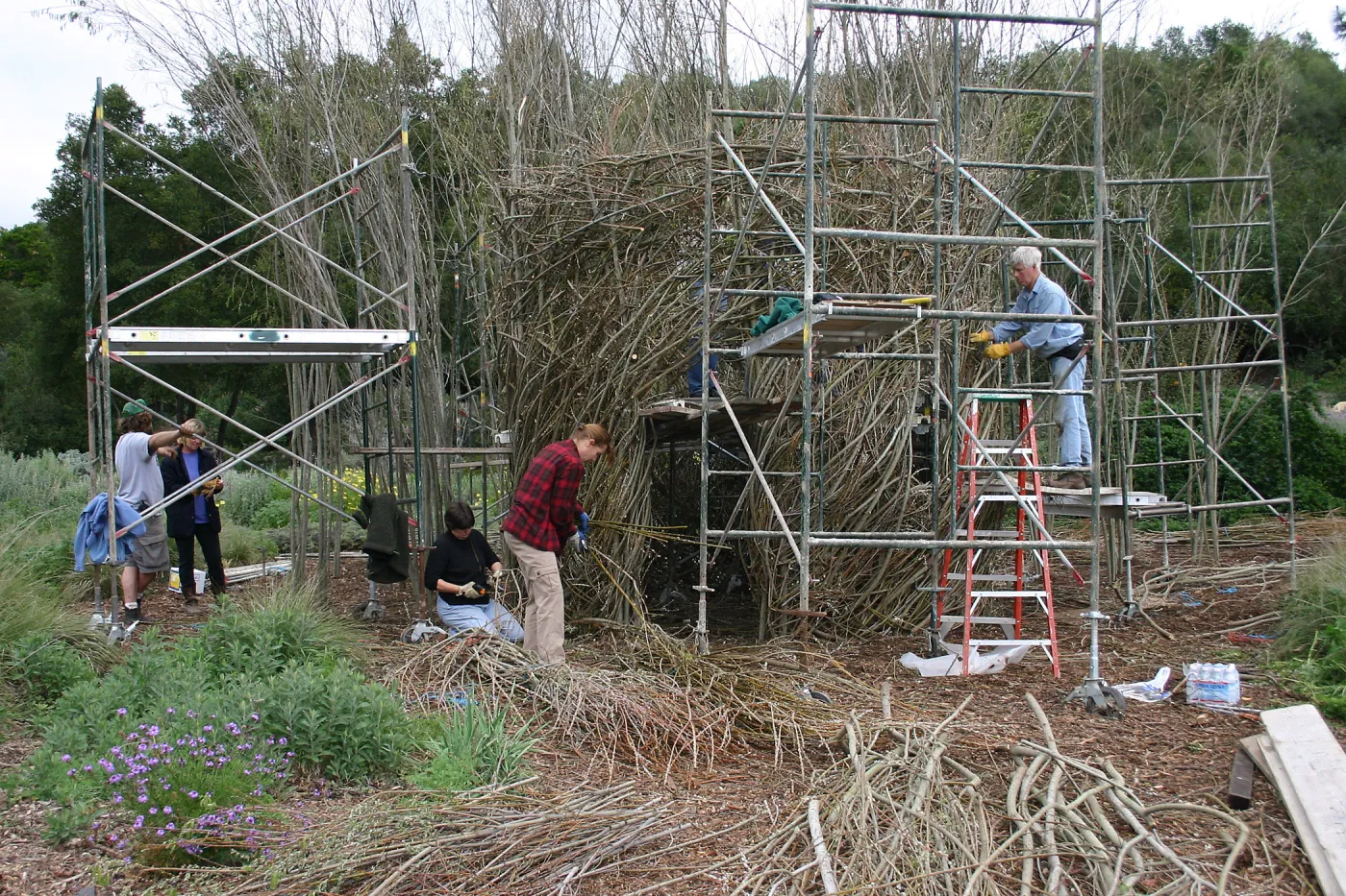 Toad Hall Construction