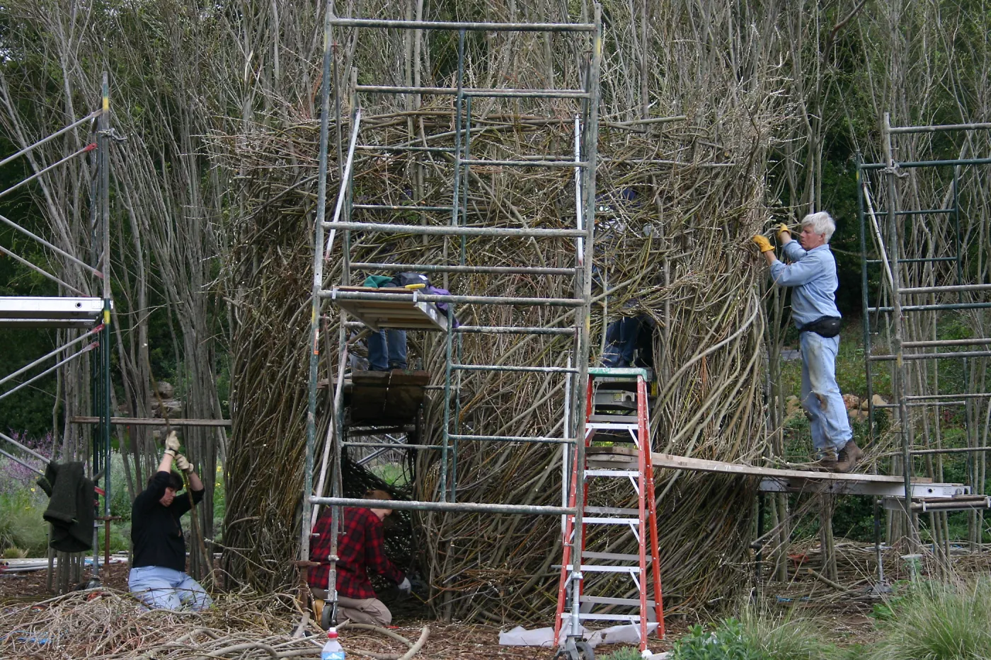 Toad Hall Construction