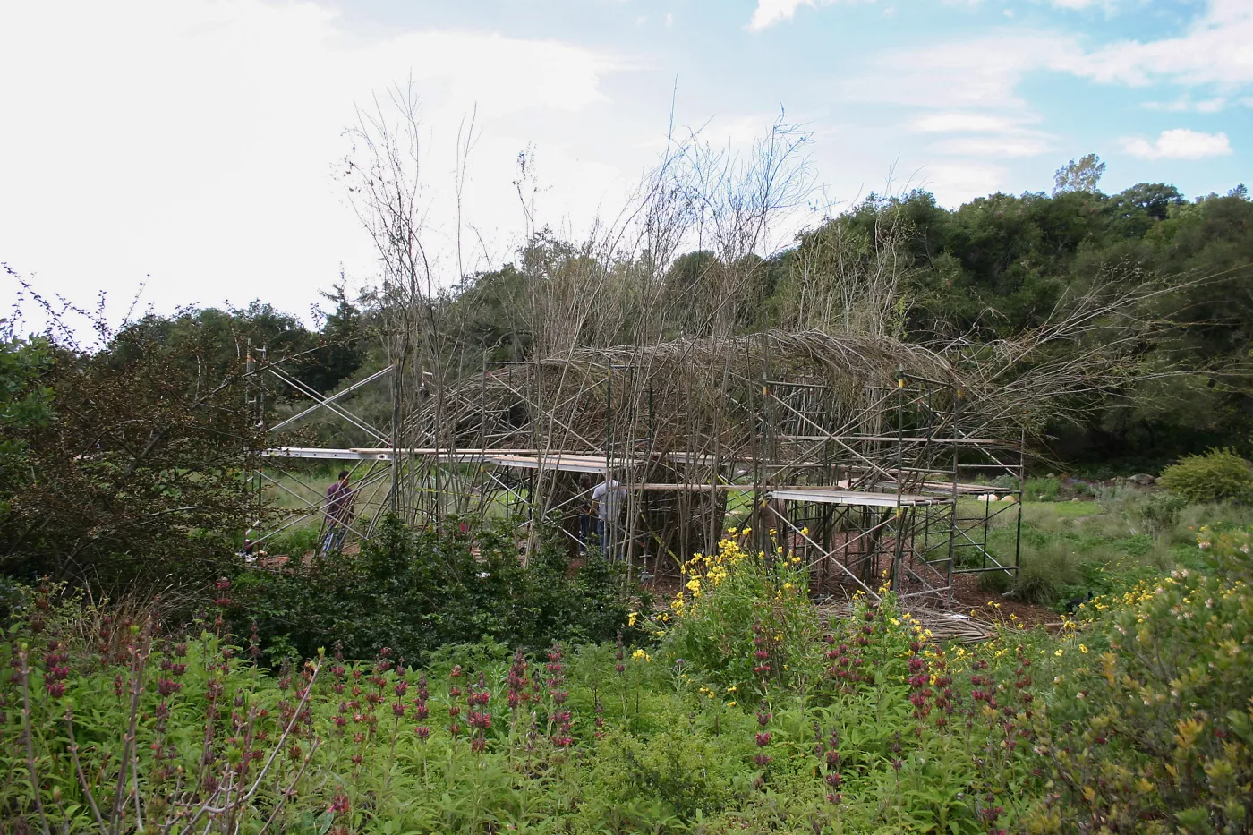 Toad Hall Construction