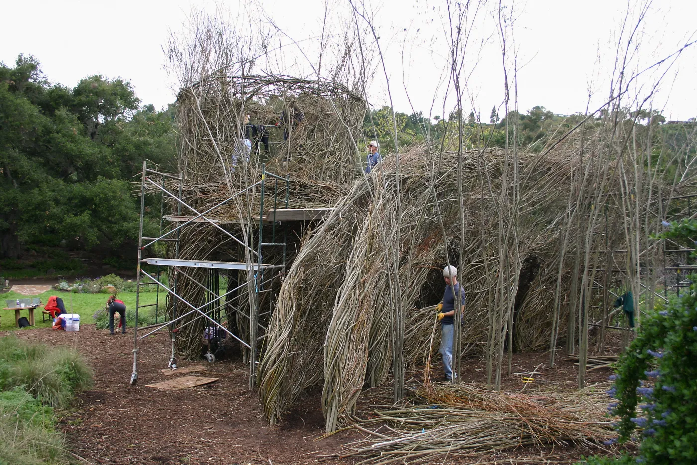 Toad Hall Construction