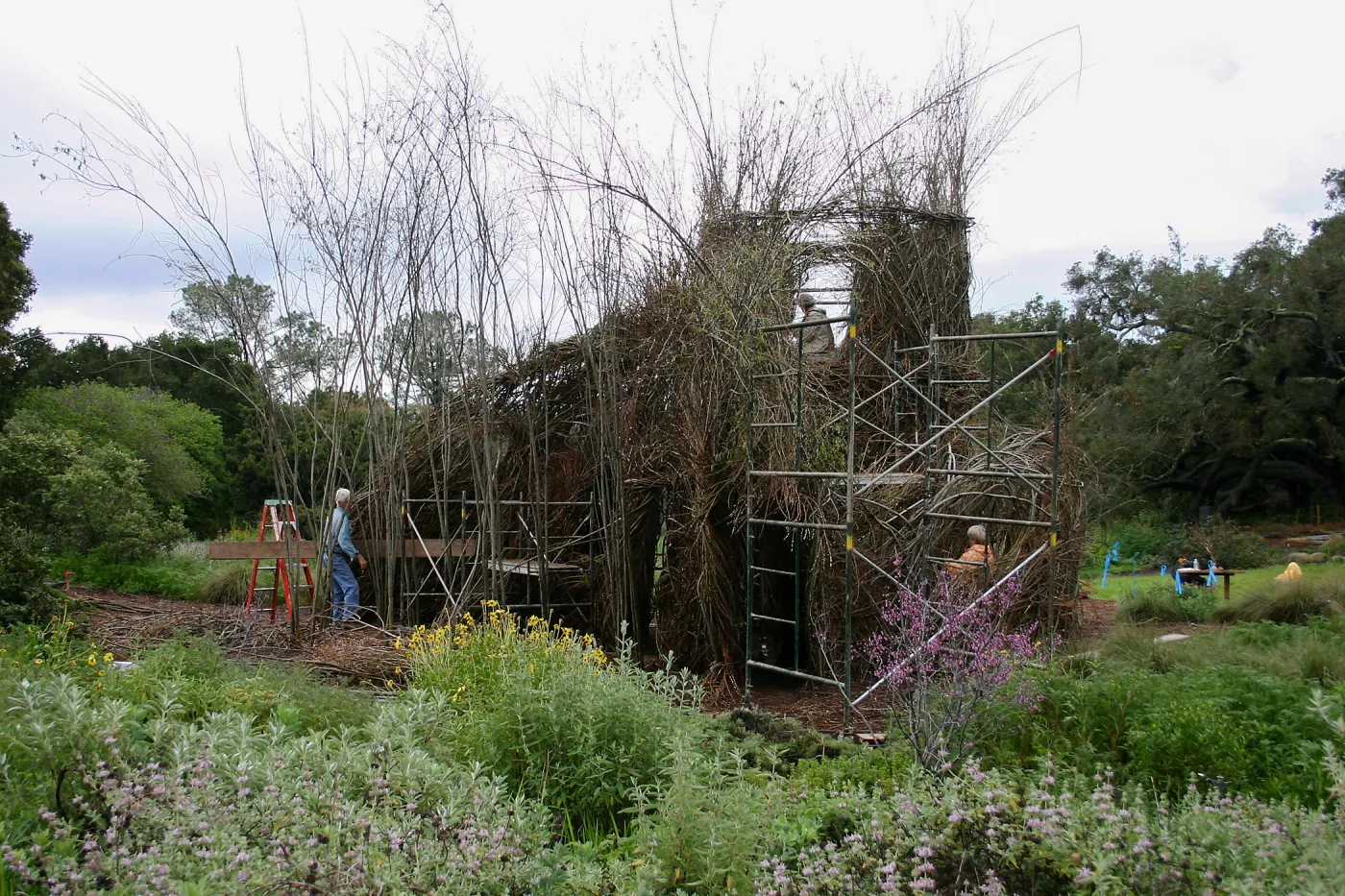 Toad Hall Construction