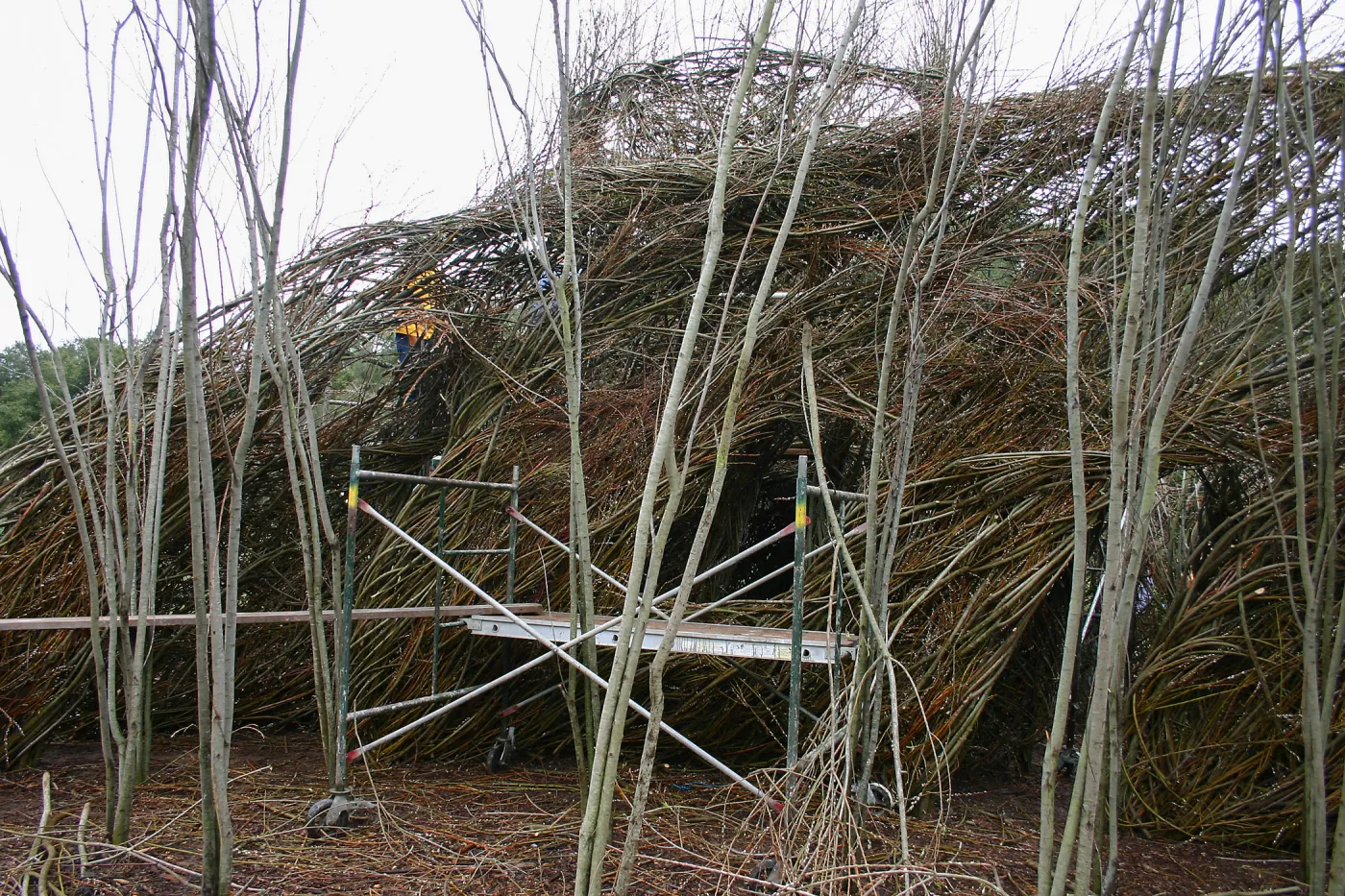 Toad Hall Construction
