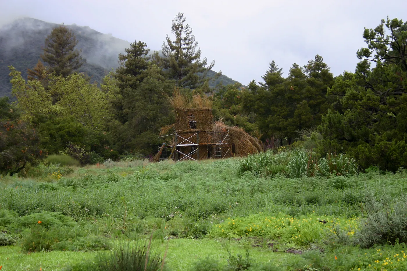 Toad Hall Construction