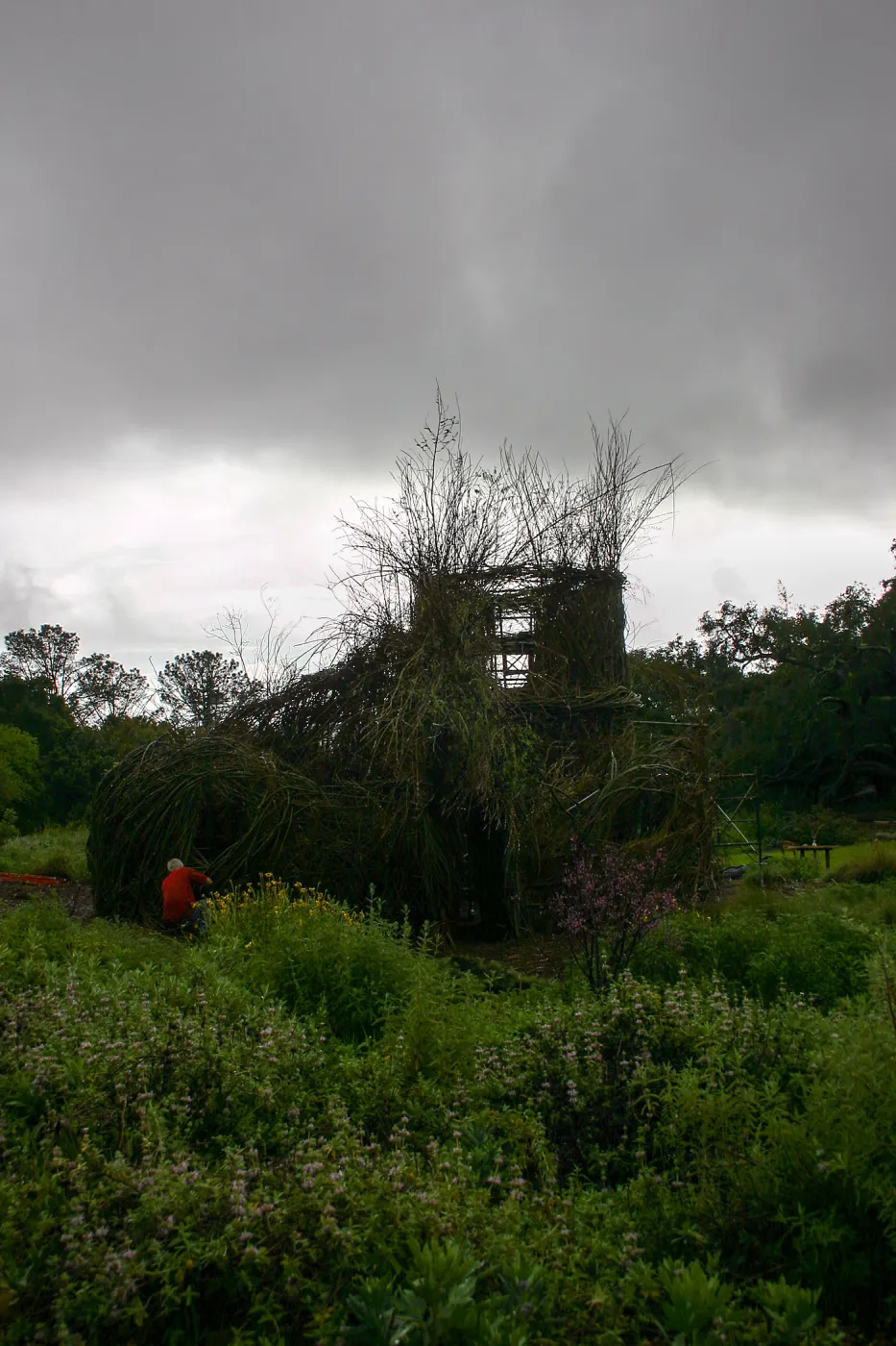 Toad Hall Construction
