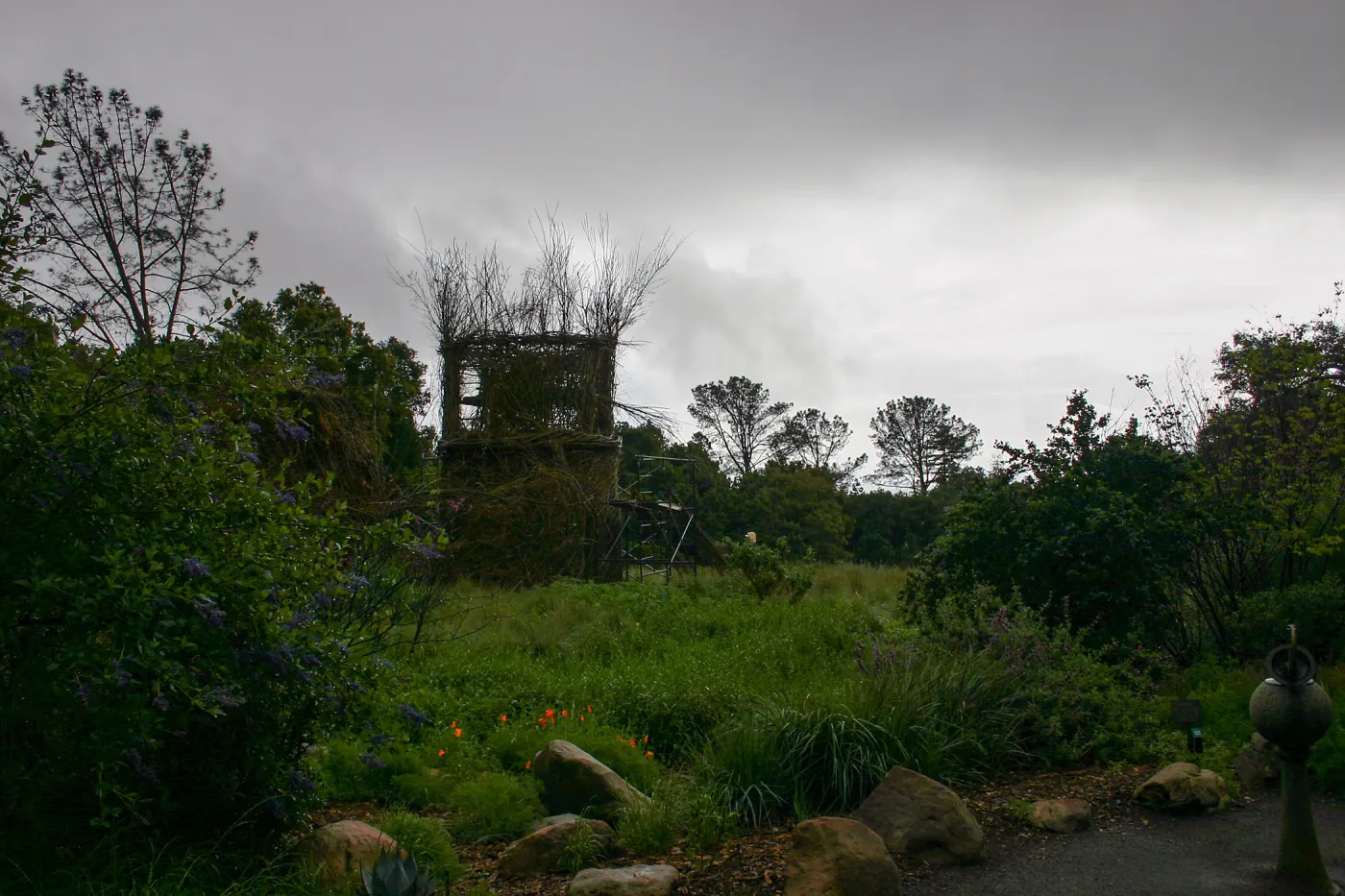 Toad Hall Construction
