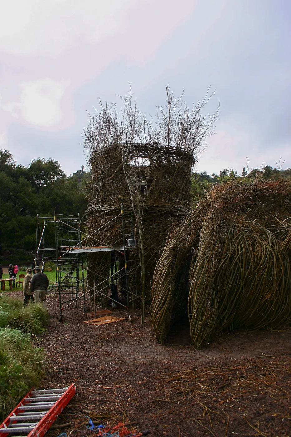 Toad Hall Construction