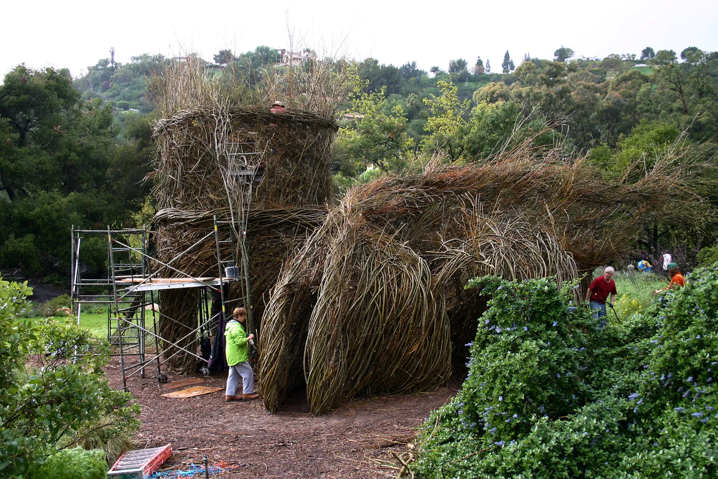 Toad Hall Construction