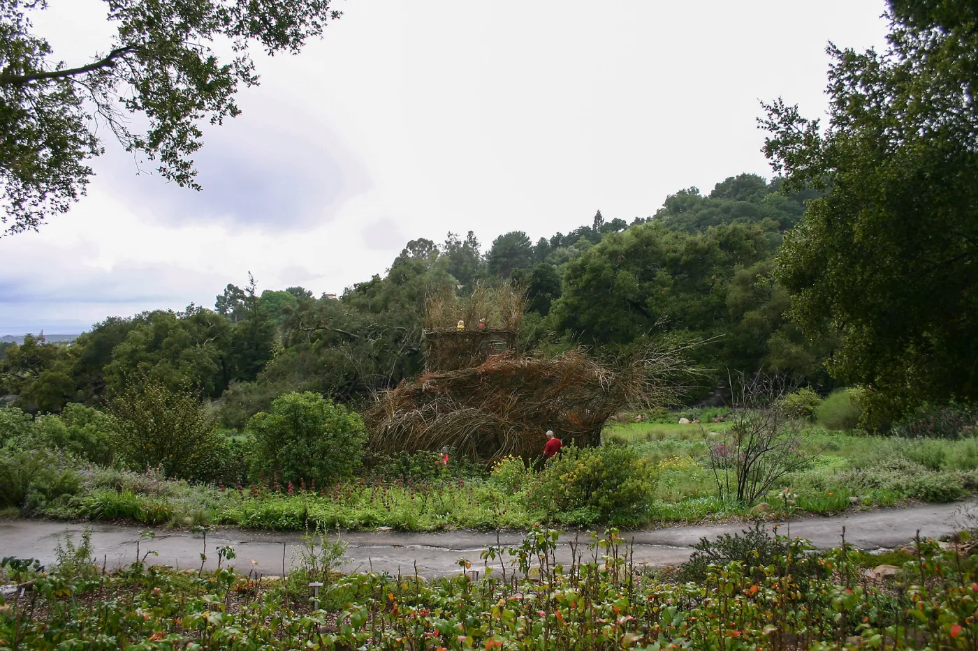 Toad Hall Construction