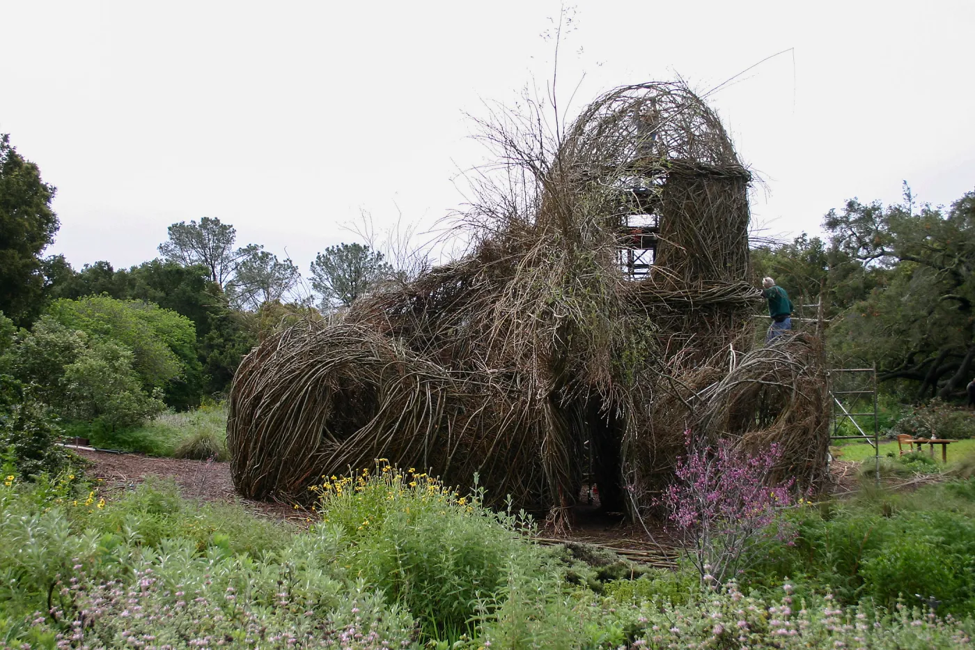 Toad Hall Construction