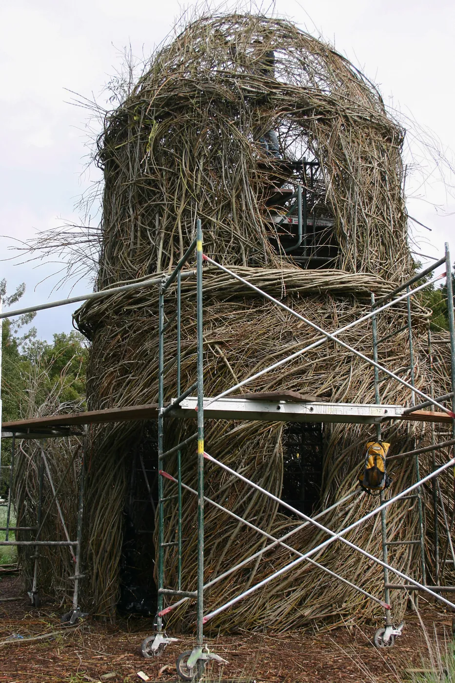 Toad Hall Construction