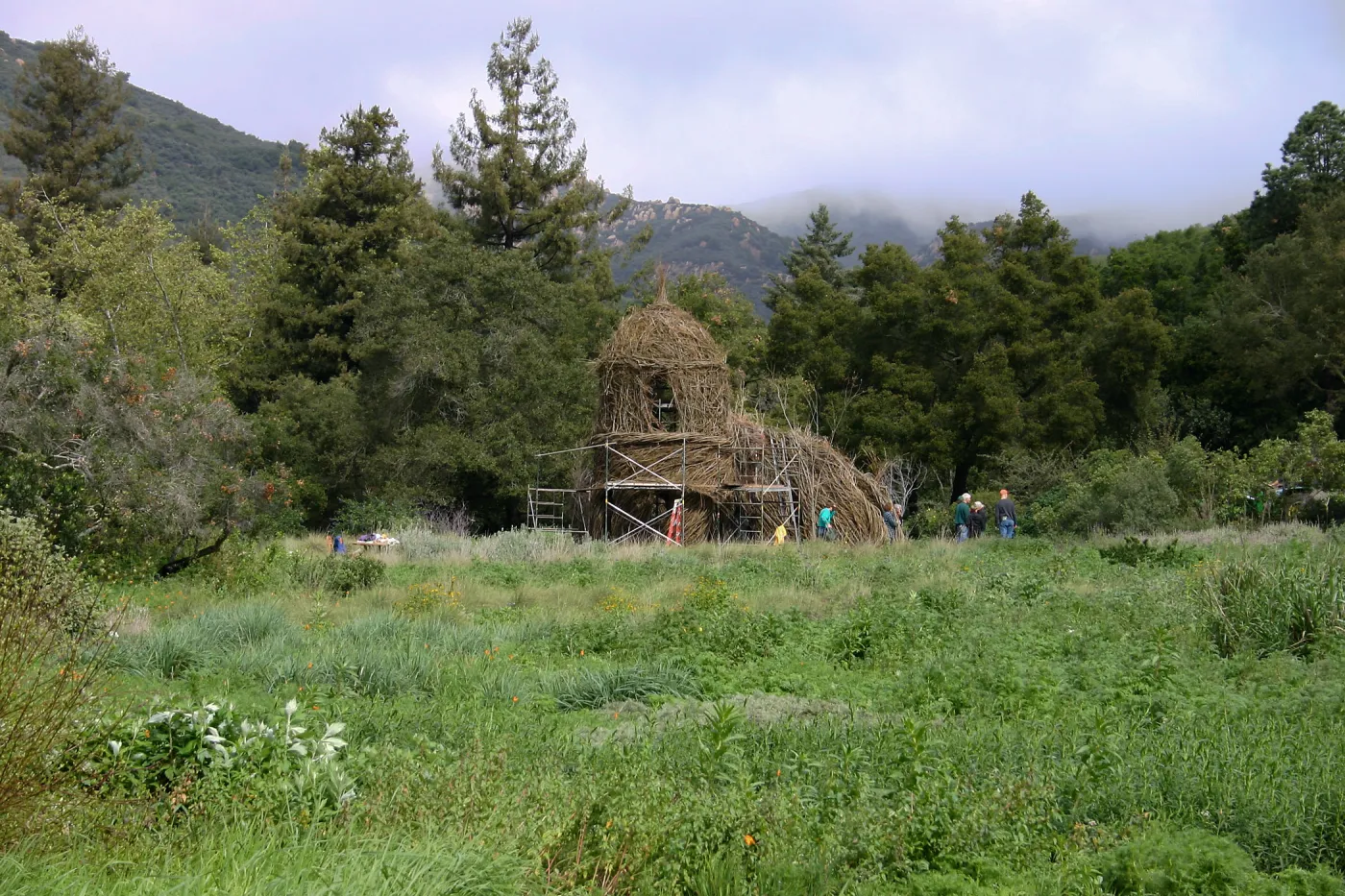 Toad Hall Construction