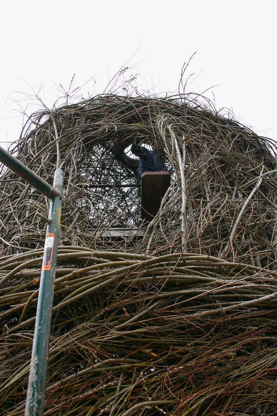 Toad Hall Construction