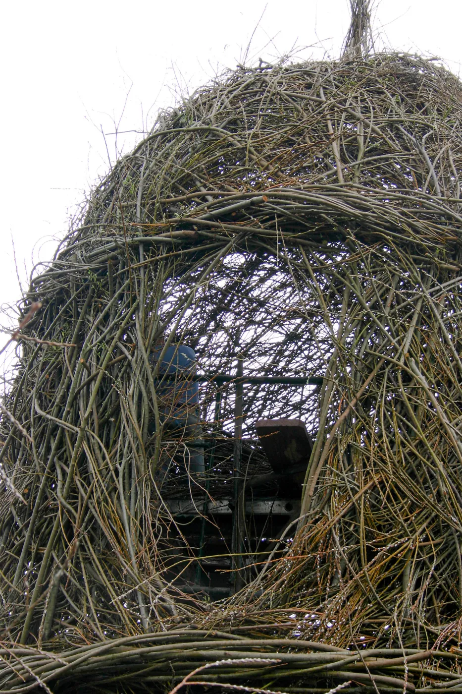 Toad Hall Construction
