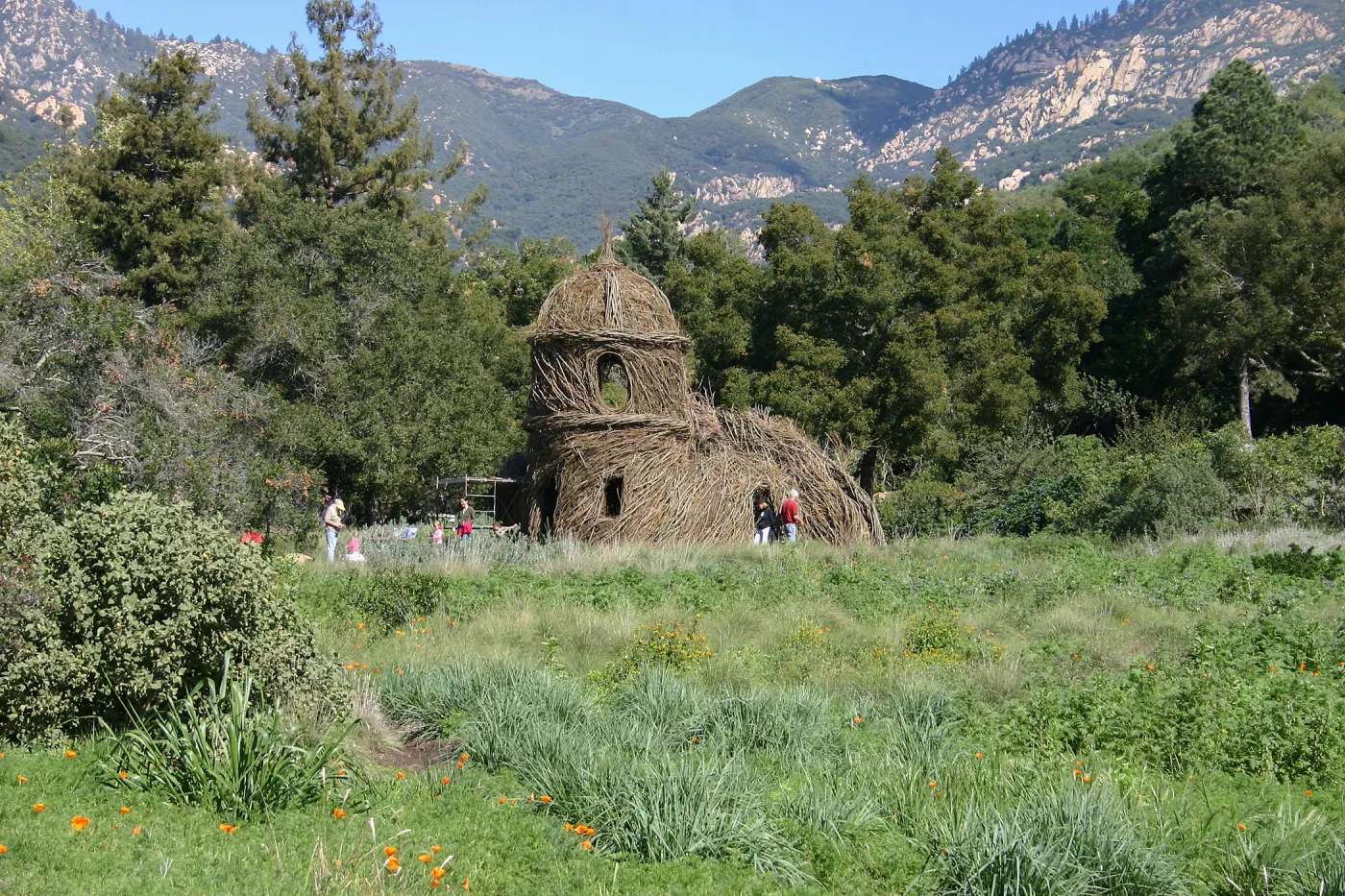 Toad Hall Construction