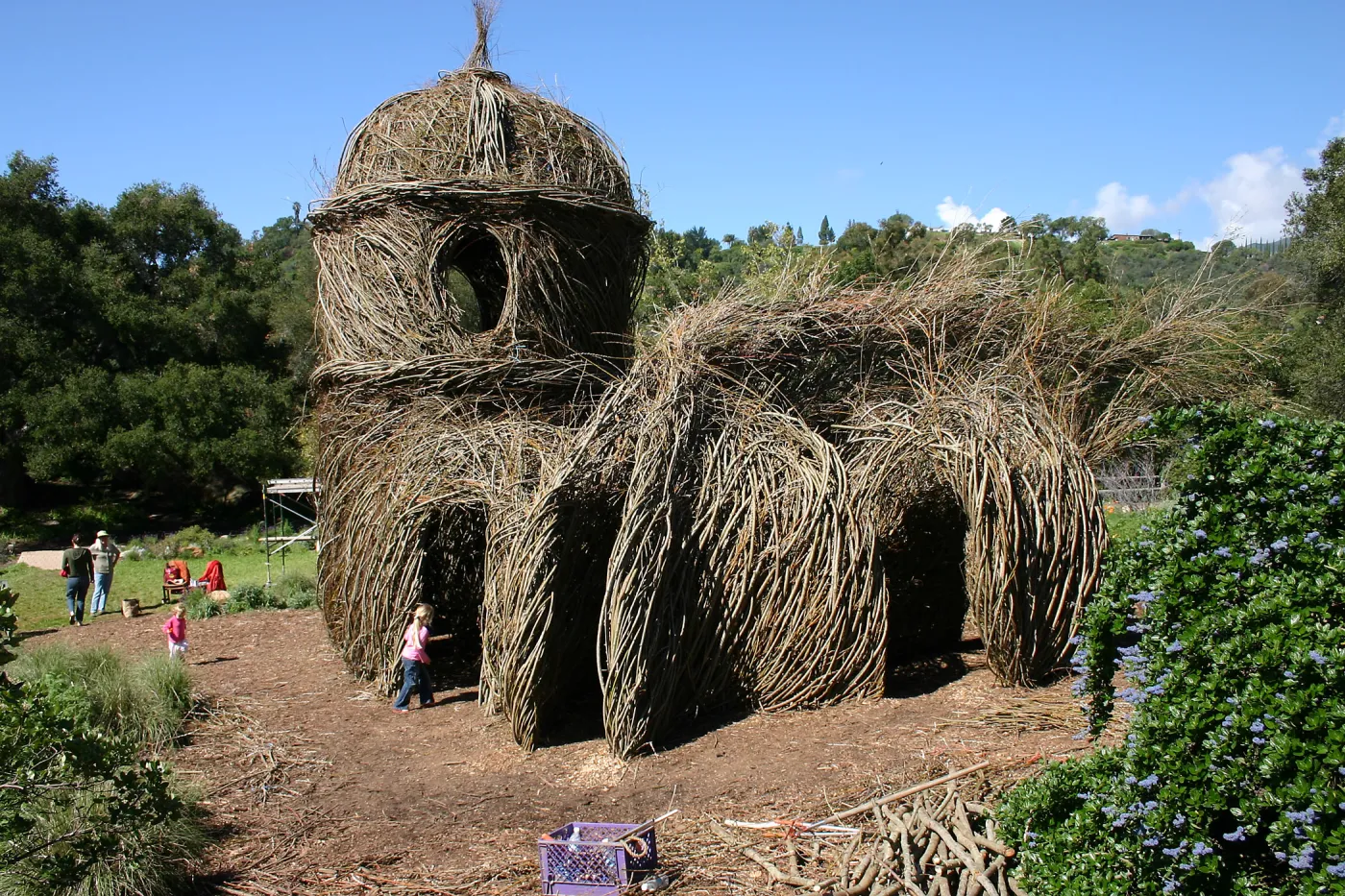 Toad Hall Construction