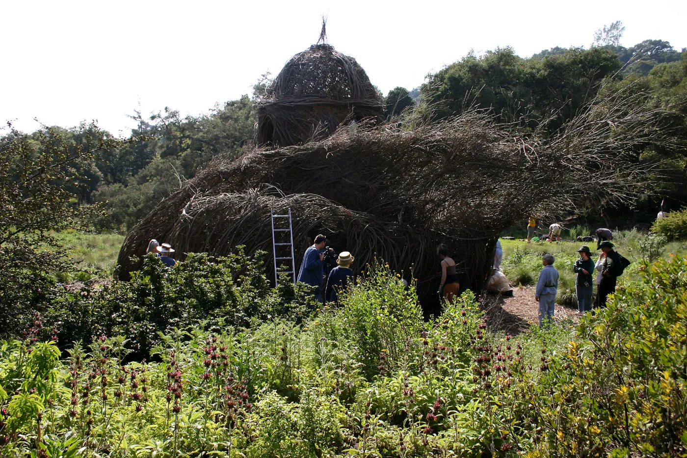 Toad Hall Construction
