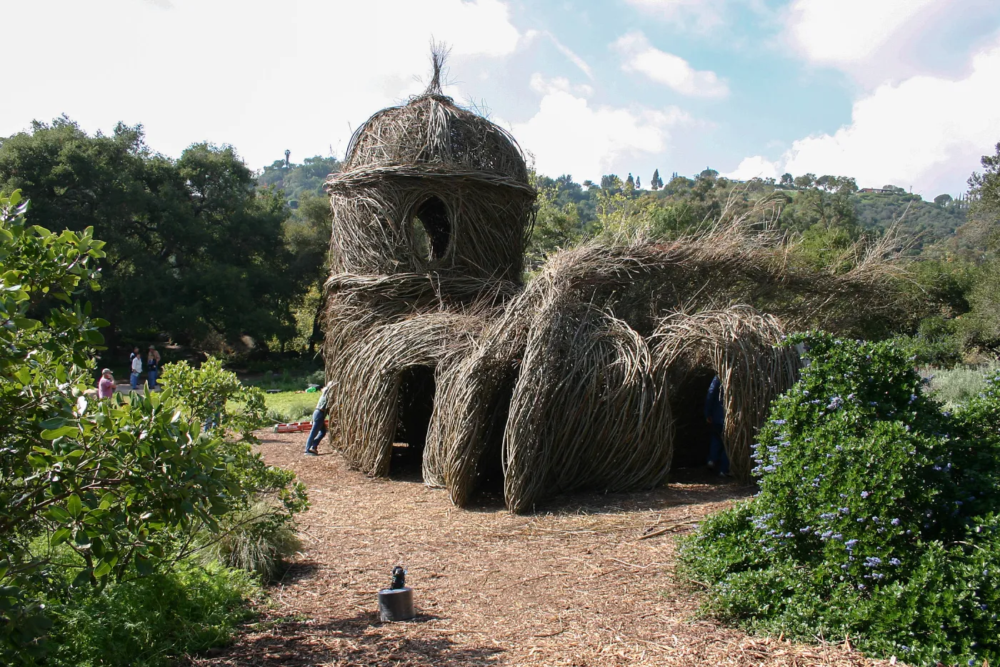 Toad Hall Construction