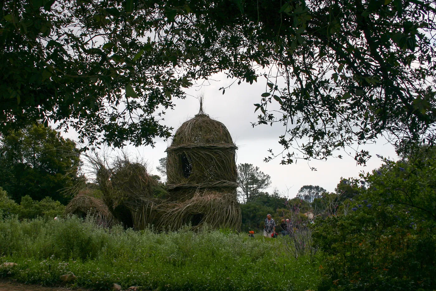 Toad Hall Members' Opening