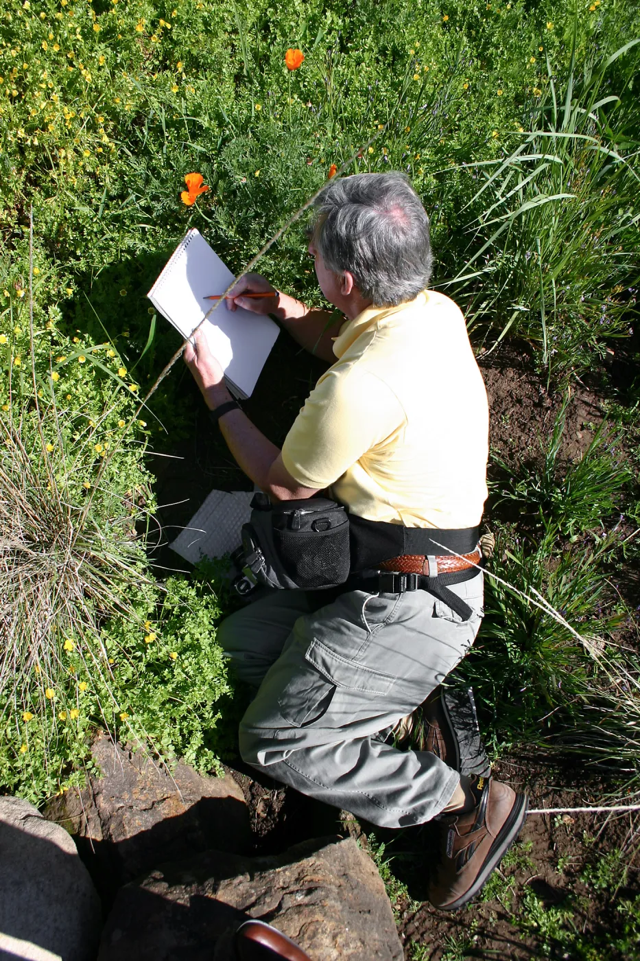 Patrick O'Hara sketching a poppy in the Meadow