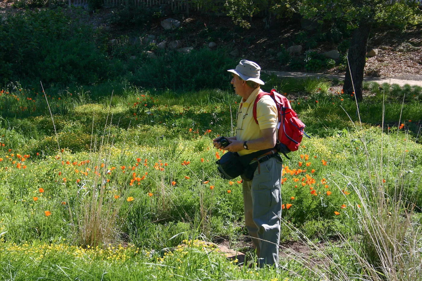 Patrick O'Hara in the Meadow