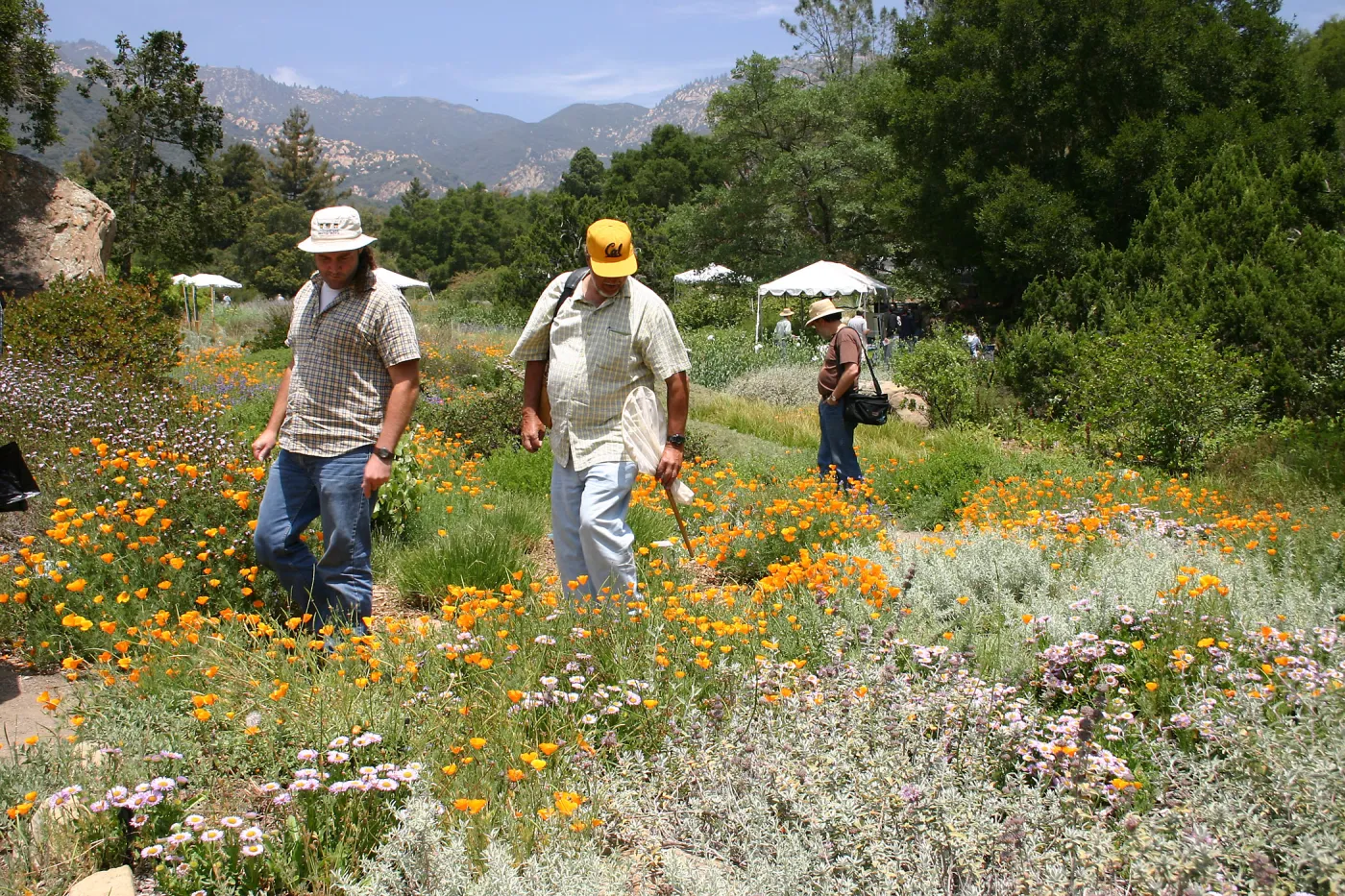 BioBlitz, Meaow, visitors