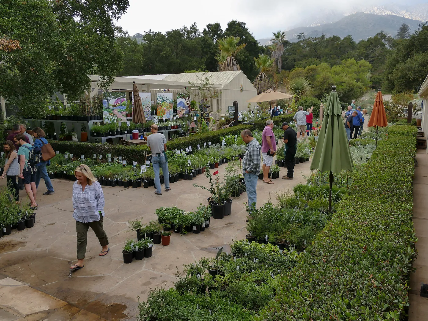 Fall Plant Sale 2018 Preview Party